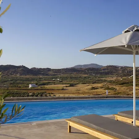 Vila Naxos Aigli Villas-master *